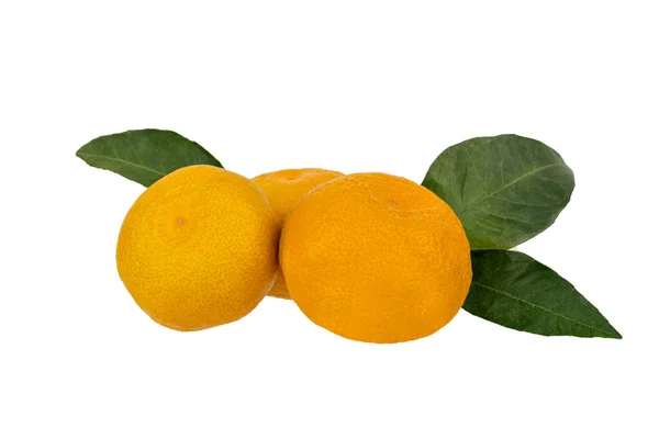 Mandarina, cítricos de mandarina con hoja aislada sobre blanco — Foto de Stock