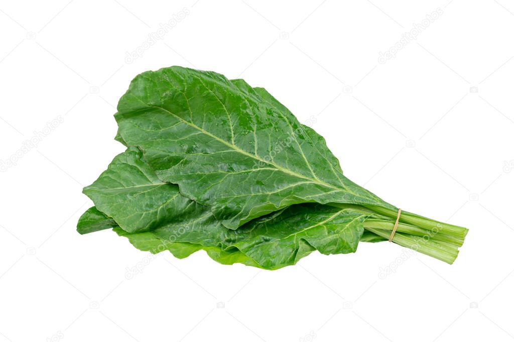 fresh green chard leaves isolated on a white