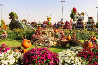 Dubai Mucize Bahçesi geniş çeşitlilikte çiçekleri olan bir çiçek bahçesidir. Birleşik Arap Emirlikleri Dubai Mart 2019