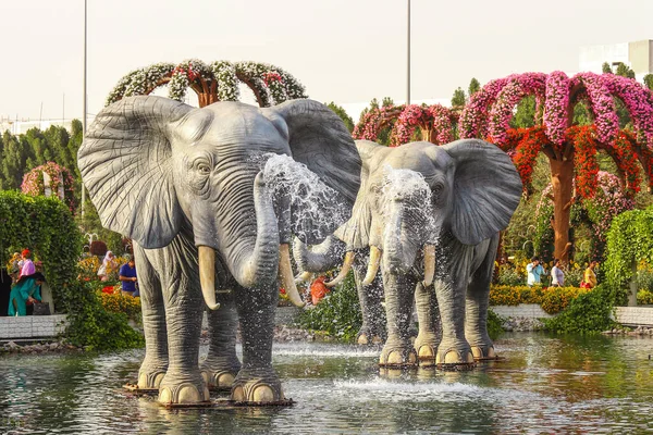 Dubai Mucize Bahçesi geniş çeşitlilikte çiçekleri olan bir çiçek bahçesidir. Birleşik Arap Emirlikleri Dubai Mart 2019