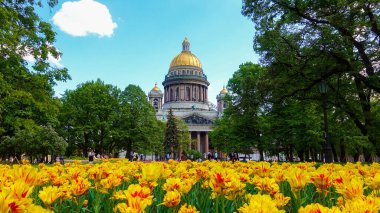 St. Isaac Katedrali, Alexander Bahçesi, yaz günü. Rusya, Saint Petersburg Haziran 2021     