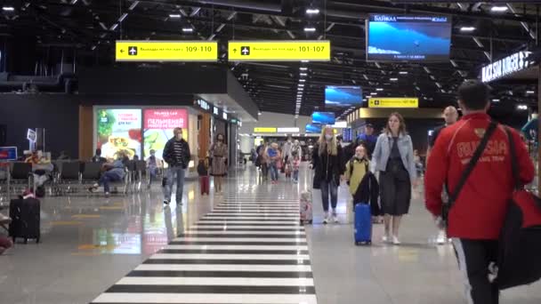 Επιβάτες Στο Αεροδρόμιο Sheremetyevo Ρωσία Μόσχα Μάιος 2021 — Αρχείο Βίντεο