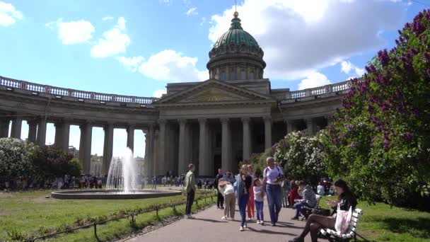 Catedral Kazán Plaza Kazán Verano Rusia San Petersburgo Junio 2021 — Vídeos de Stock