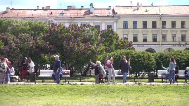 カザン広場 人々は公園を歩く ロシア サンクトペテルブルク2021年6月 — ストック動画