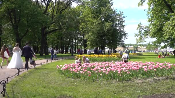 Menschen Gehen Durch Den Park Petersburg Alexandergarten Russland Sankt Petersburg — Stockvideo