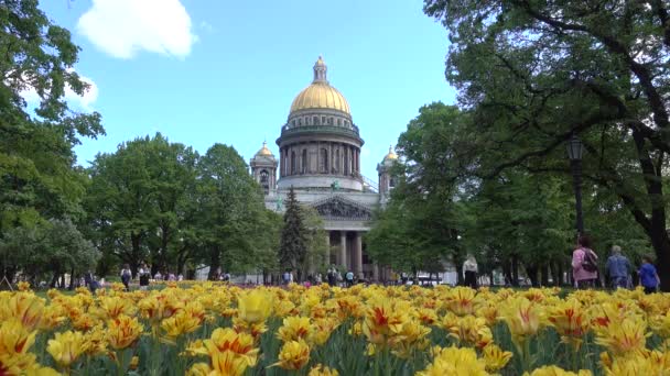 Isaac Cathedral Alexander Garden Russia Saint Petersburg June 2021 — Stock Video