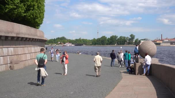 Spit Vasilievsky Island Lungomare Con Vista Sul Fiume Neva Russia — Video Stock