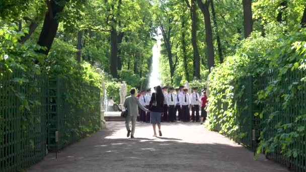 Summer Garden Fountain Park Summer Russia Saint Petersburg June 2021 — Stock Video