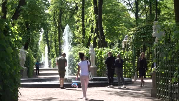 Zomertuin Fontein Het Park Zomer Rusland Sint Petersburg Juni 2021 — Stockvideo