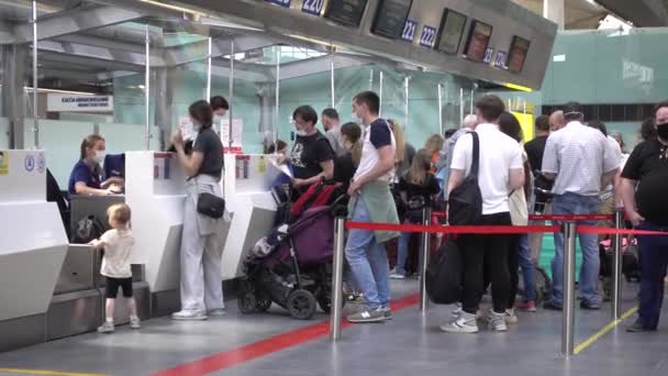 Comptoirs Enregistrement Des Passagers Aéroport Pulkovo Russie Saint Pétersbourg Juin — Video