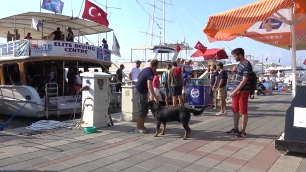 Фетхие Яхт Гавань Яхтами Лодки Люди Ходят Набережной Фетхие Турция — стоковое видео