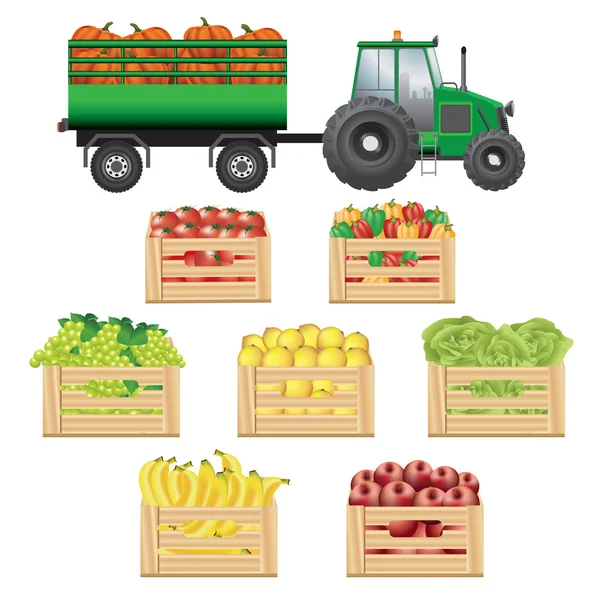 Transporte de productos agrícolas frescos — Vector de stock