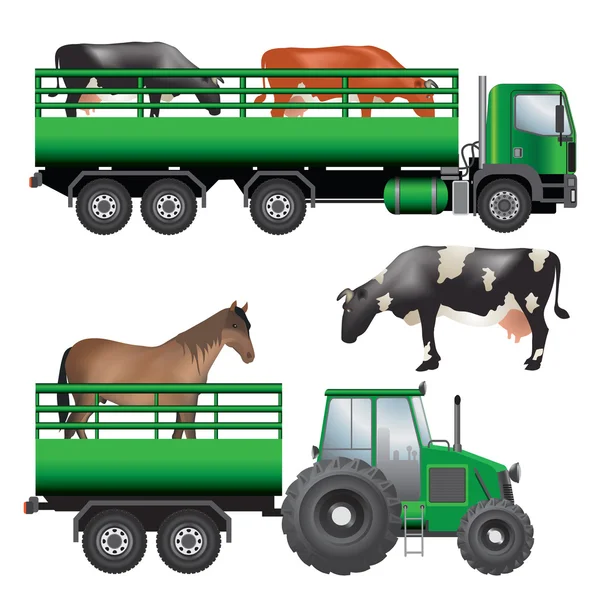 Animal transportation — Stock Vector