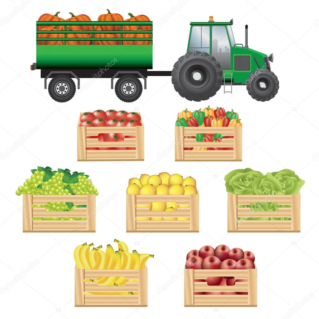 Fresh agricultural products transportation Stock Vector Image by