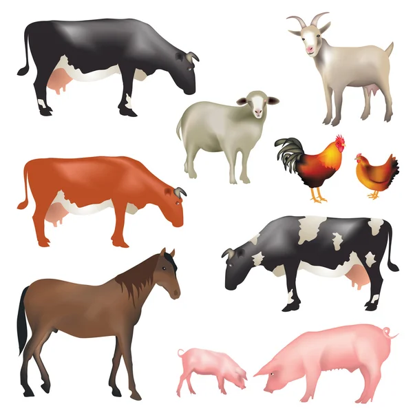 Animales de granja — Vector de stock