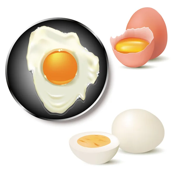Vajíčko koncept — Stockový vektor