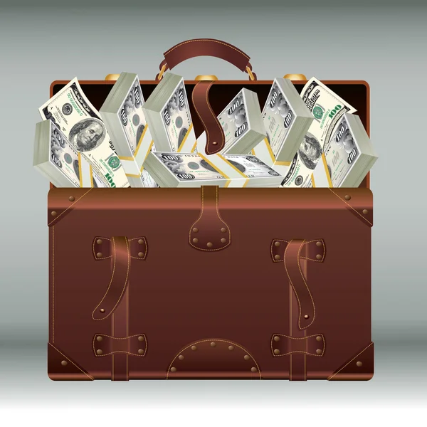 Valise avec argent — Image vectorielle