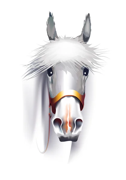 Vita hästen huvudet — Stock vektor