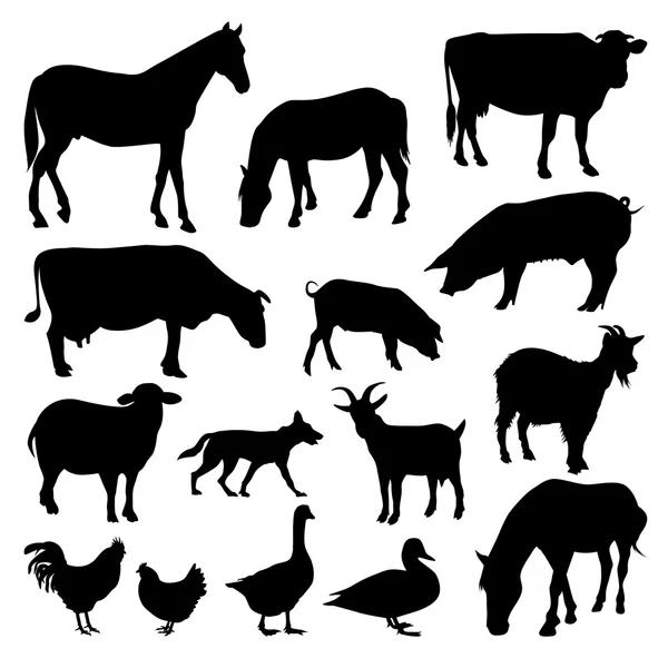 Farm animals — Stock Vector