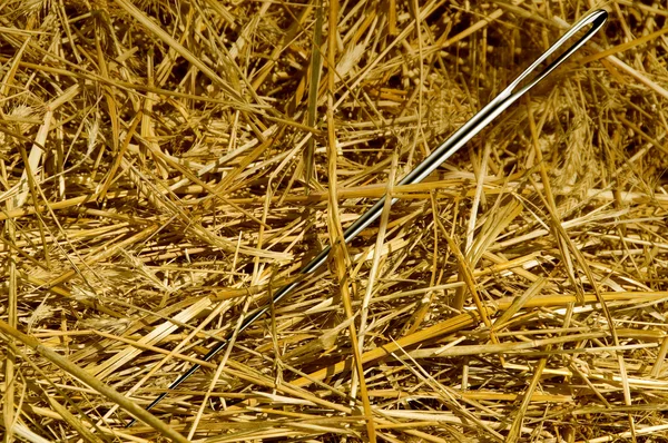 Needle in the haystack — Stock Photo, Image