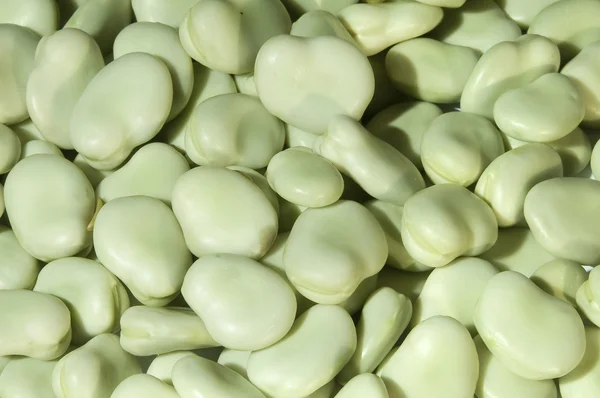 Broad bean — Stock Photo, Image