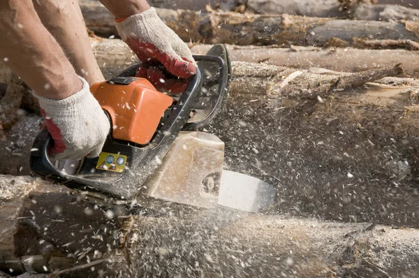 Profesyonel benzinli testere