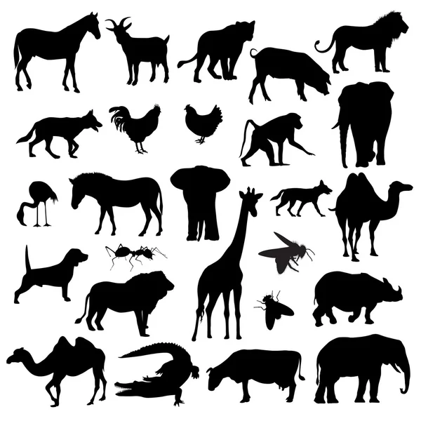 Animales — Vector de stock