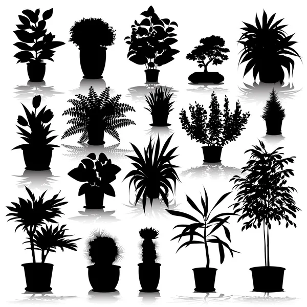 Houseplants in pots — Stock Vector