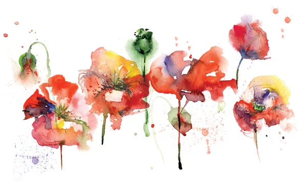 Watercolor poppies — Stock Photo, Image