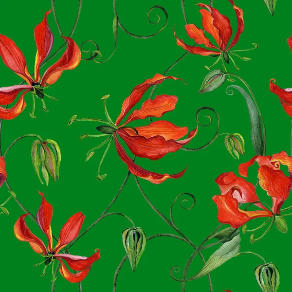 Seamless pattern with watercolor gloriosa flowers — Stock Photo, Image