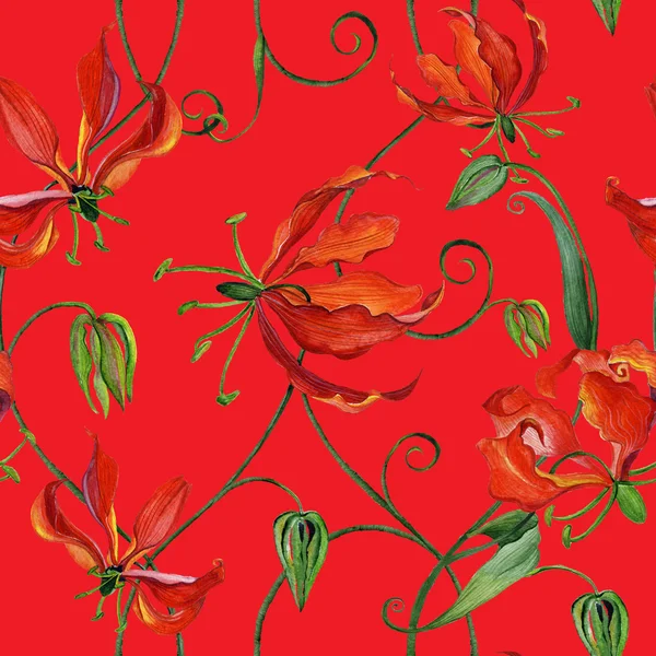Seamless pattern with watercolor gloriosa flowers — Stock Photo, Image