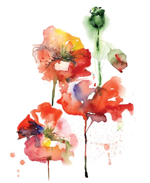 Aquarel papavers — Stockfoto