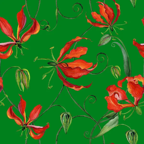 Bezešvé vzor s květy, akvarel gloriosa — Stock fotografie