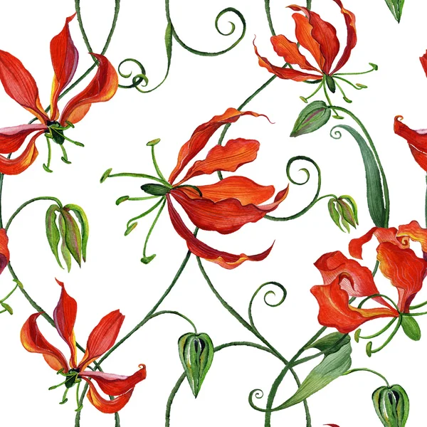 Seamless pattern with watercolor gloriosa flowers — Stock Photo, Image