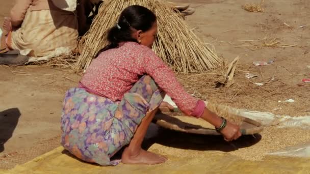 Agricultura tradicional em Ásia — Vídeo de Stock