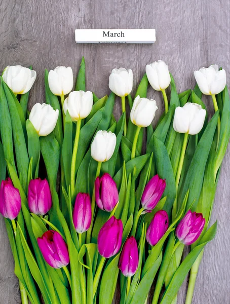 Zehn weiße und zehn rosa Tulpen. — Stockfoto