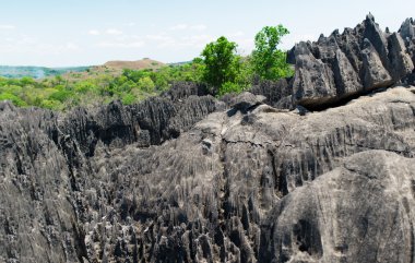 Tsingy de Bemaraha rezerv