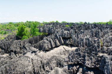 Tsingy de Bemaraha rezerv