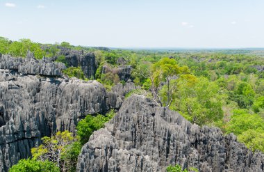 Tsingy de Bemaraha rezerv