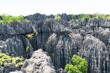 Tsingy de Bemaraha rezerv