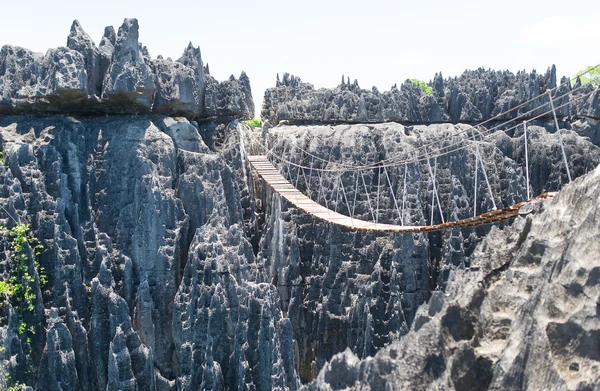 Tsingy de Bemaraha rezerv