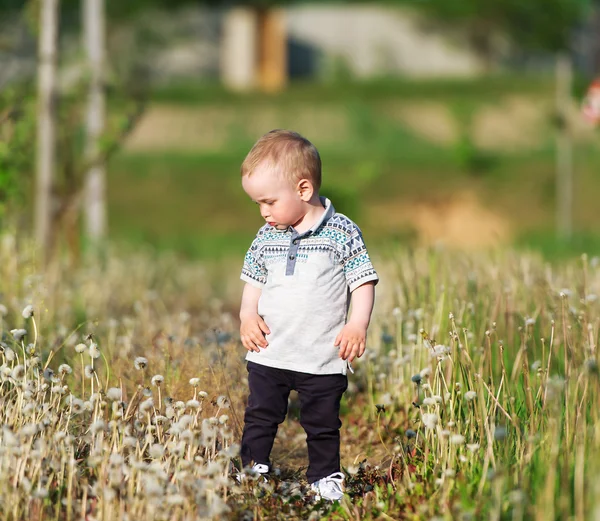 Het jongetje speelt in een gras. — Stockfoto