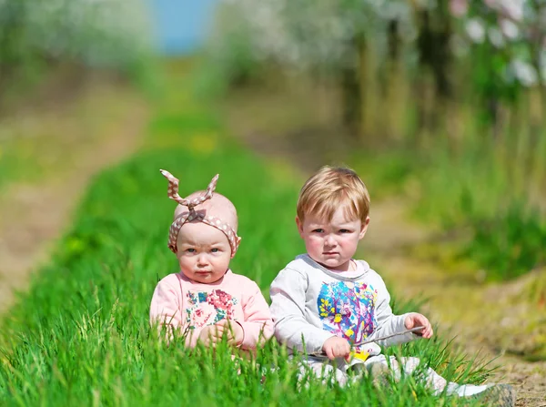 Duas crianças pequenas sentam-se em uma grama verde . — Fotografia de Stock