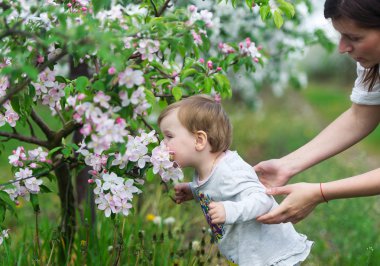 Küçük kız çiçek açması elma kokusu kokuyor.