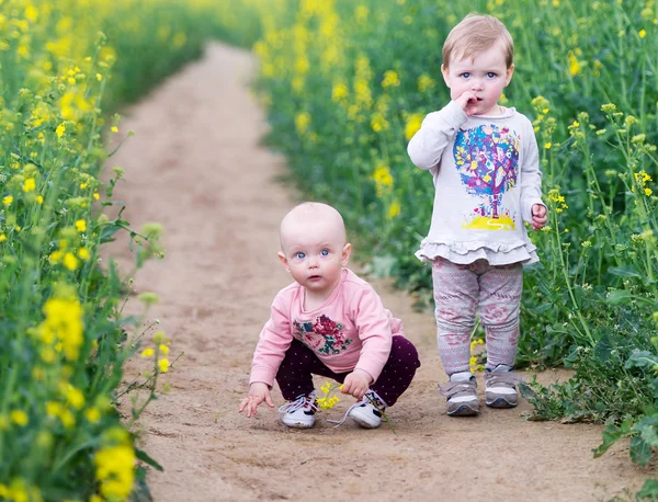 Charmiga barn bland gula blommor. — Stockfoto