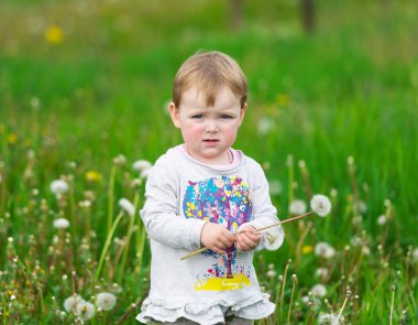 Bebek ve beyaz karahindiba.