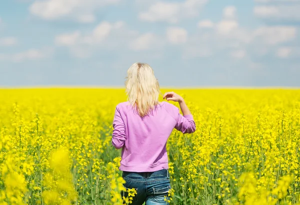 Colza rubia y amarilla . — Foto de Stock