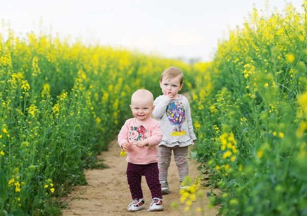 Dos niños entre la floreciente colza . —  Fotos de Stock