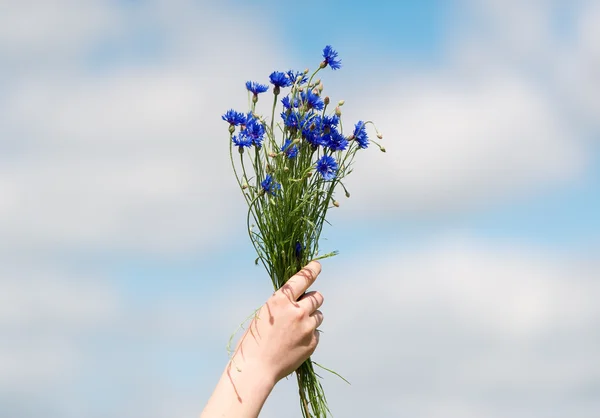 Das junge Mädchen mit einem Strauß Kornblumen auf Himmelshintergrund. — Stockfoto