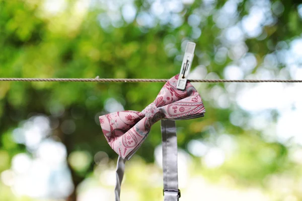 Fjärilen brudgummens hänger på ett rep. — Stockfoto
